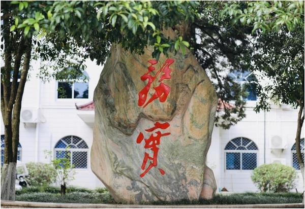 务实石 务实石.JPG