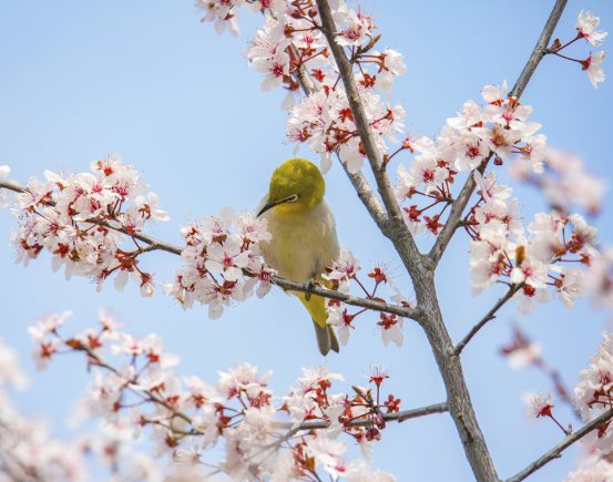 965309f7e945f41464723863fae39896